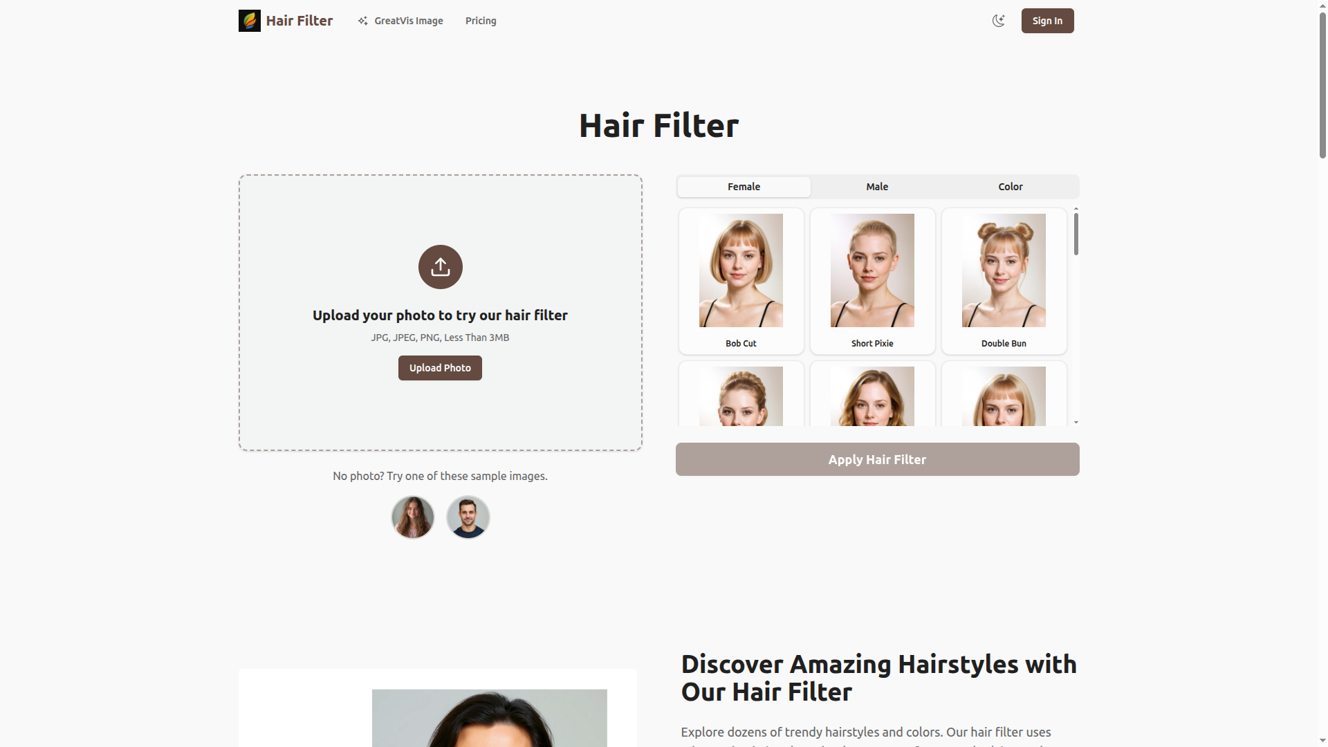 hair filter