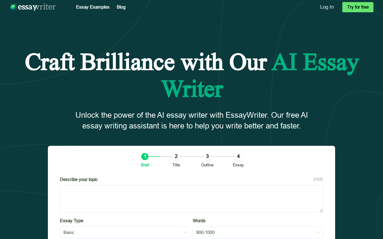 EssayWriter io
