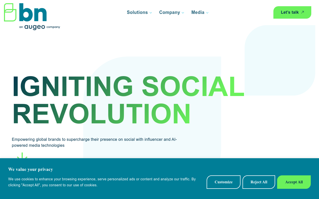 brandnetworksinc.com