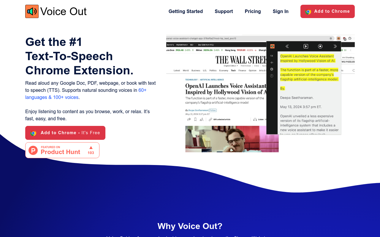 Voice Out