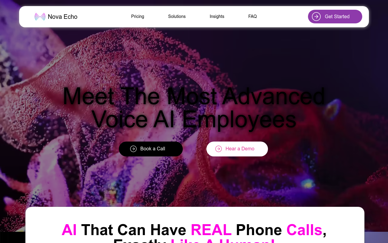 Nova Echo AI