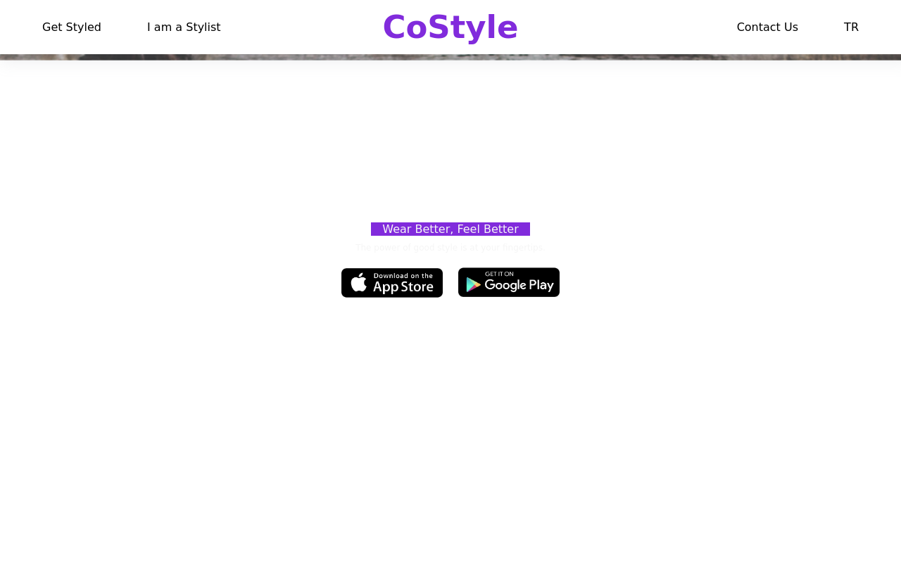 CoStyle