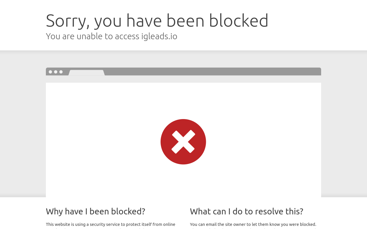 IGLeads
