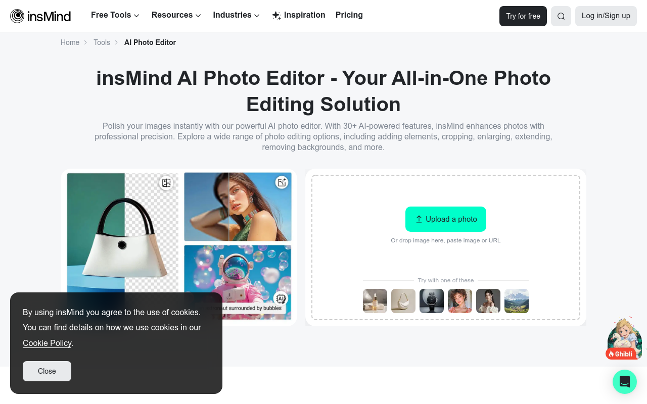 AI Photo Editor by insMind