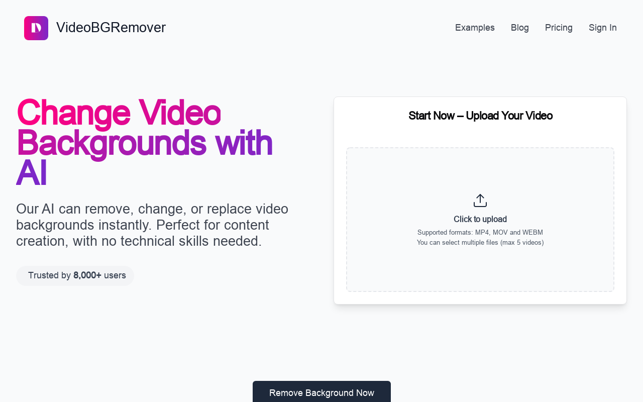 VideoBGRemover