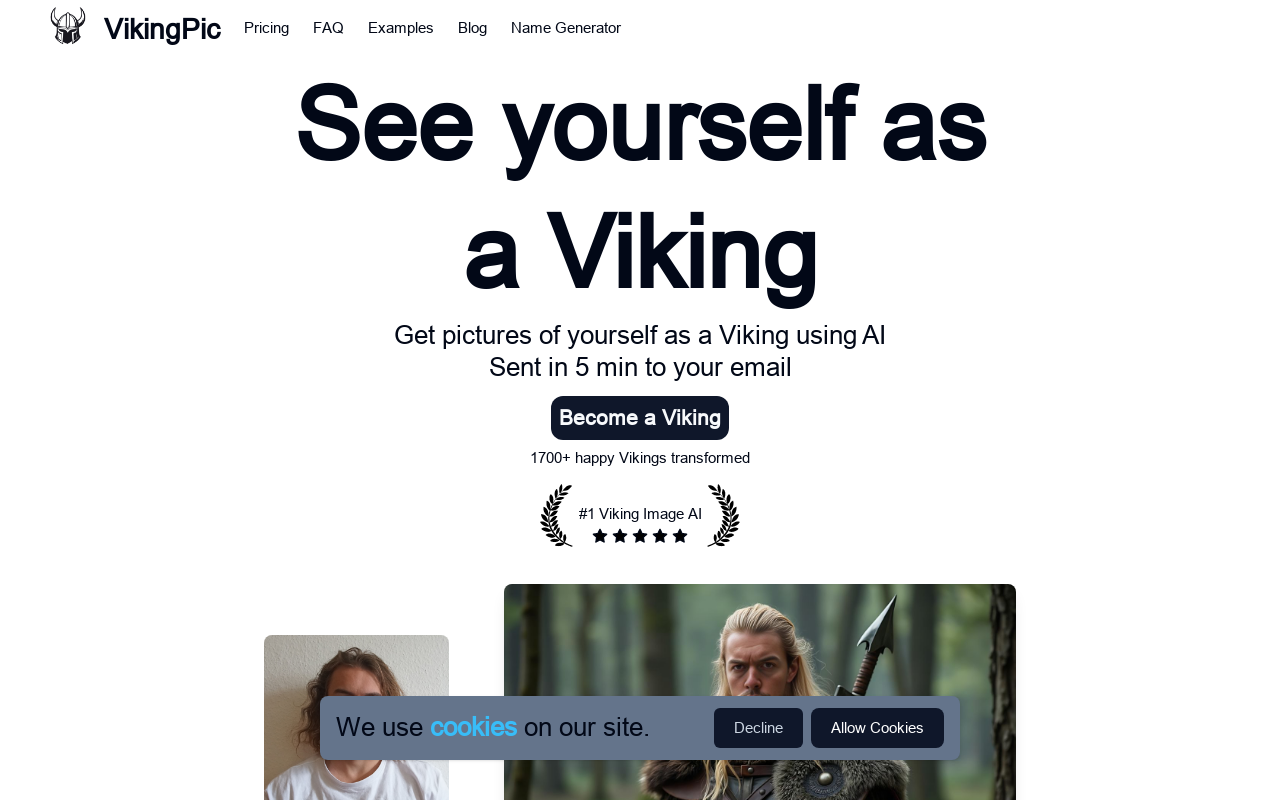 VikingPic