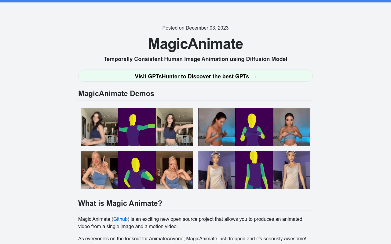 MagicAnimate Playground