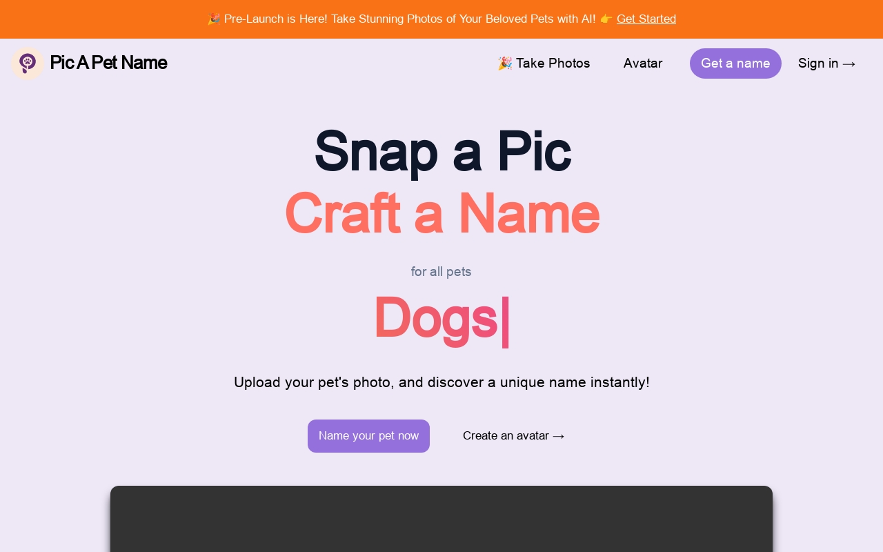 Pic A Pet Name